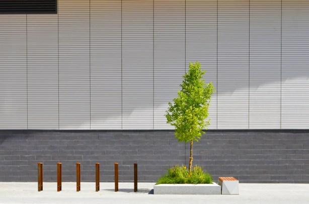 small green tree and six brown bars (for locking bikes) in front of a grey wall 