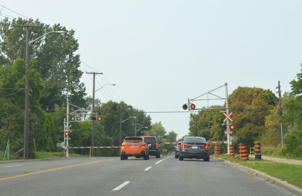 four cars waiting at a level railway crossing on Morningside Ave, red lights flashing and barriers down but no train yet 