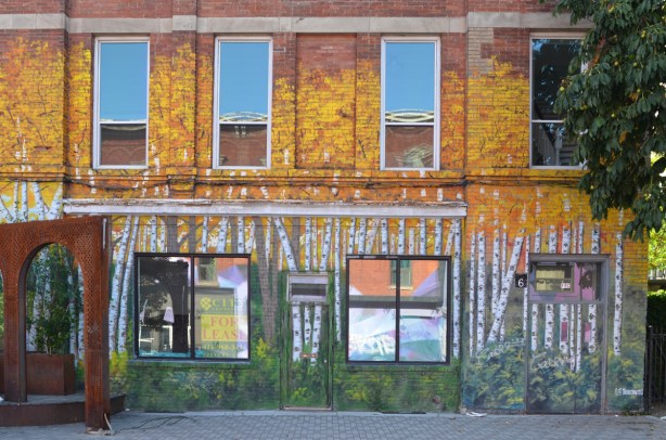 mural of a birch forest with golden yellow leaves on the side of a building, around the windows that are reflecting sky and buildings from across the street 