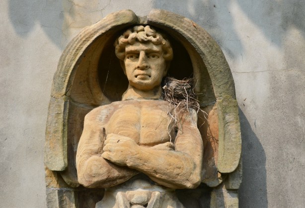 the upper torso and head of a man, sculpture in stone, in a niche in a wall. a bird has built a nest on his shoulder