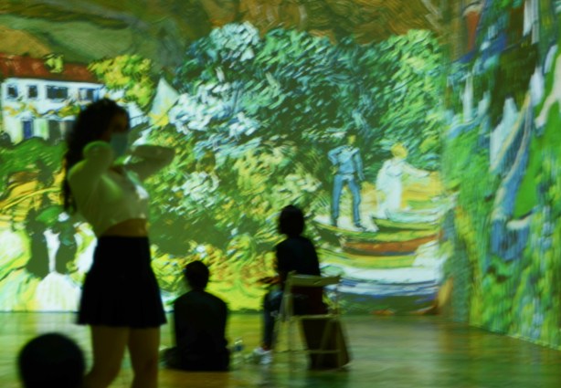 Vincent Van Gogh Immersive exhibit