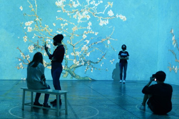 Vincent Van Gogh Immersive exhibit - crooked tree with white blossoms on a turquoise background