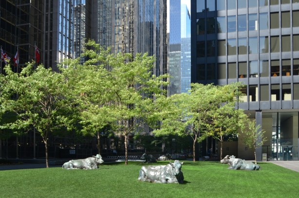 cows, public art sculptures, lying on the grass with tall black office tower behind