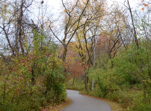 path through the woods, autumn