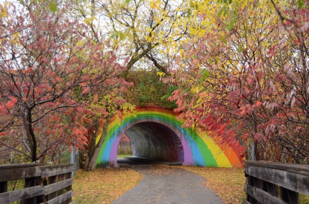 the rainbow bridge on the east don trail, a semi circle arch tunnel painted like a rainbow