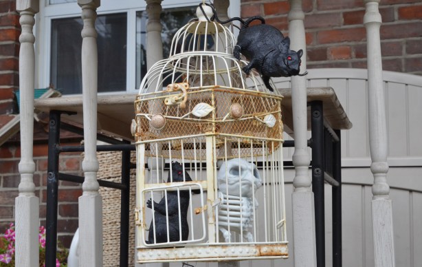 a white bird cage on a front porch with a fake black rat inside it and a rat climbing on the outside too 