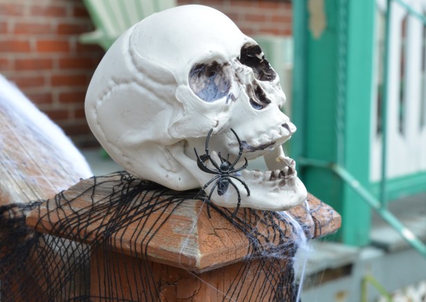 a white skull on a railing post, a black plastic spider climbing on the jaw
