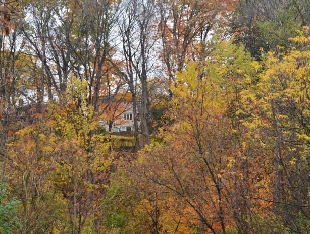 a white house up on a hill behind autumn trees that are starting to lose their leaves 