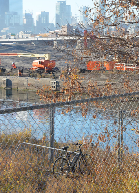 a bike leaning against a tree, the Keating channel behind it, as well as Port Lands construction. 