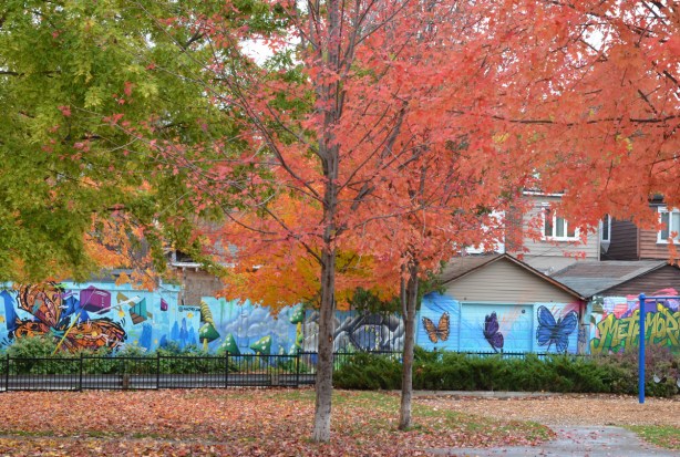 trees in autumn colours, with butterfly murals on the garages beyond the park