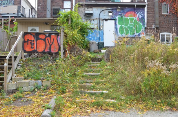 the back of two adjacent buildings on Bloor West, one has a set of stone steps leading down that are overgrown with grass and weeds, some graffiti on the back of the buildings 