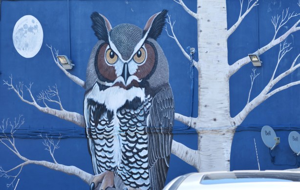 an owl and white tree on blue background, mural