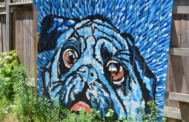 mural in mostly blue of a pug's face, dog with red tongue and brownish eyes, on wood 
