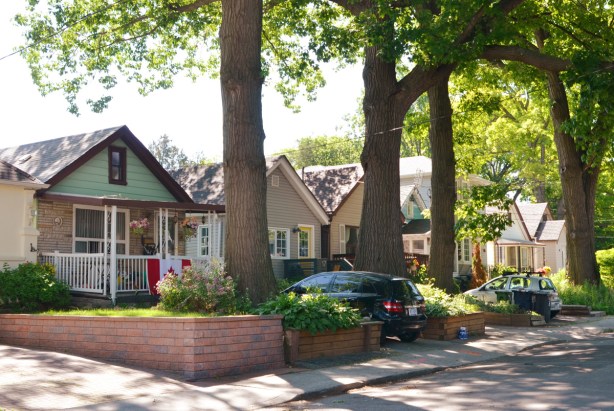 street scene - all the houses are small bungalows, large trees in the front yards, cars parked in driveways 