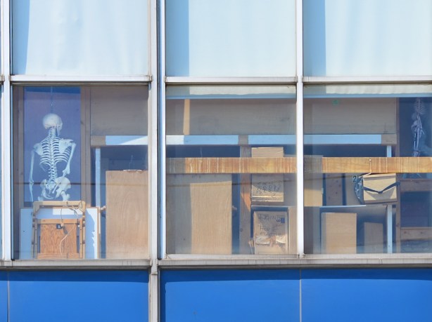 Looking into a building trhough window, a skeleton is on display