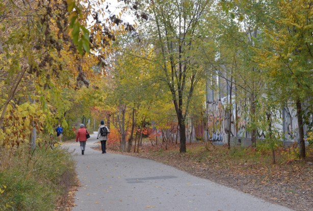two people walking on an asphalt path past some small trees in autumn colours 