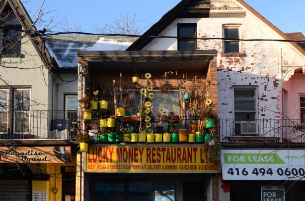 balcony over lucky money restaurant, full of plants and bright ywllow and green flower pots. 