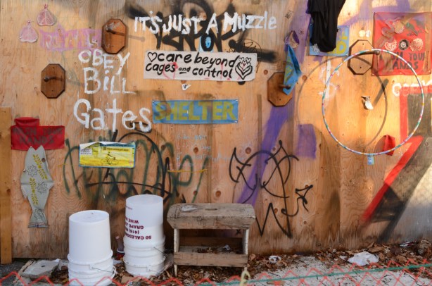 plywood fence with graffit on it, words, obey bill gates. Also words that say it's just a muzzle, obey 