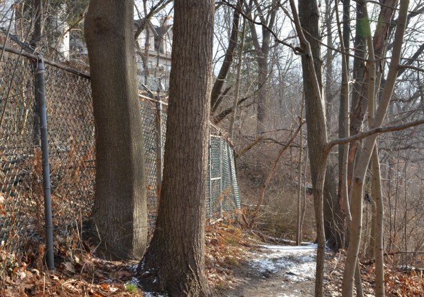 chainlink fence beside a path through the woods in early winter, no leaves on trees, some snow on the trail