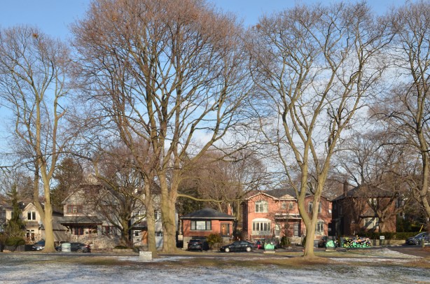 stret of houses and large trees across from Rennie Park, single family homes, residential area, large trees, winter, no leaves, some snow on the ground. 
