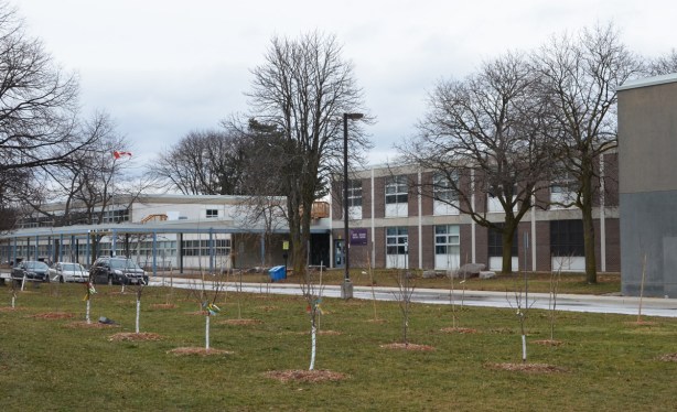 front of Don Mills Secondary School, many new trees have been planted in front of the school 