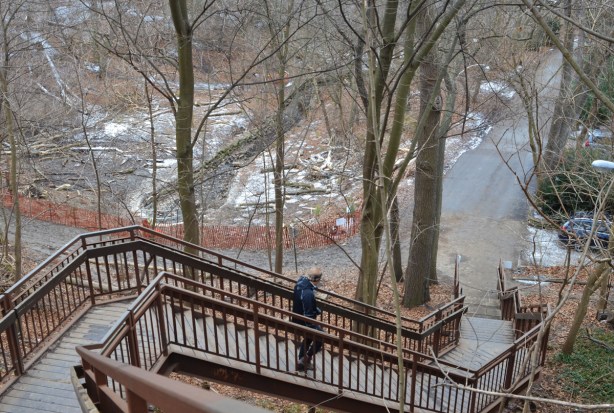 a man is going down a long set of stairs towards a park, winter time, 