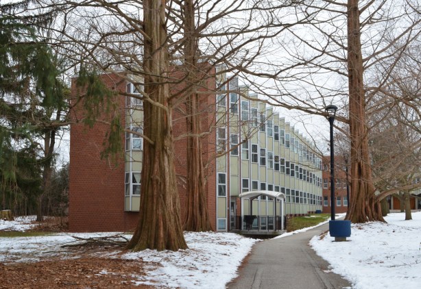 residence building, Glendon College, winter, path, large trees