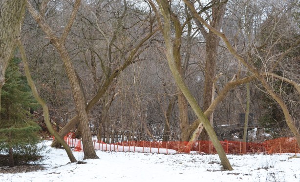 path in woods in winter, with orange snow fence lining the walkway 