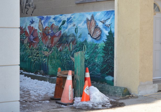 small mural with butterflies and flowers in an entrance to a passageway, some orange and white cones in front of the mural 