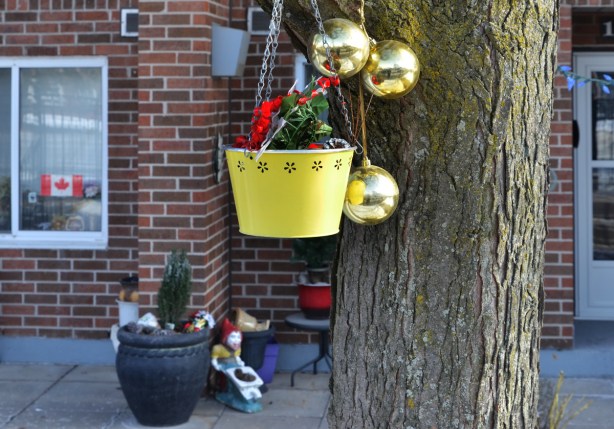 yellow metal bucket hanging from a tree with evergreens and a red ribbon, also three gold christmas balls hanging with the bucket