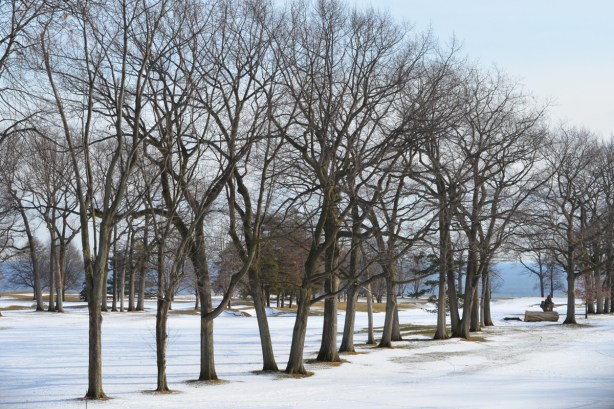 trees, in winter time, with snow on the ground, with Lake Ontario in the distance, Scarboruogh Hunt Club grounds
