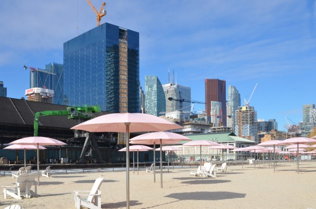 sugar beach with pink umbrellas, looking northwest to the city, new glass highrise beside redpath sugar