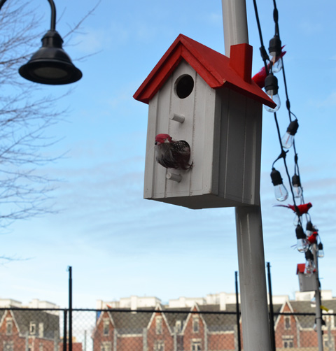 decorative birdhouse with red roof with a string of lights and a fake cardinal or two 