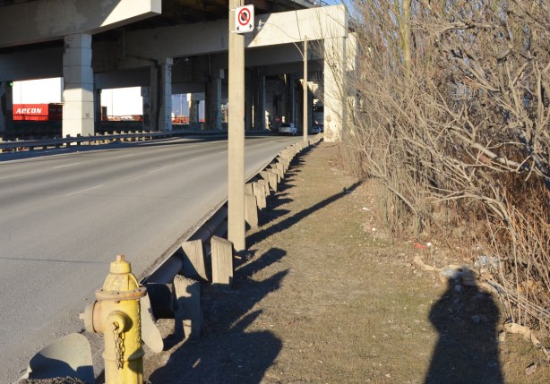 shadow on the grass beside the Lakeshore