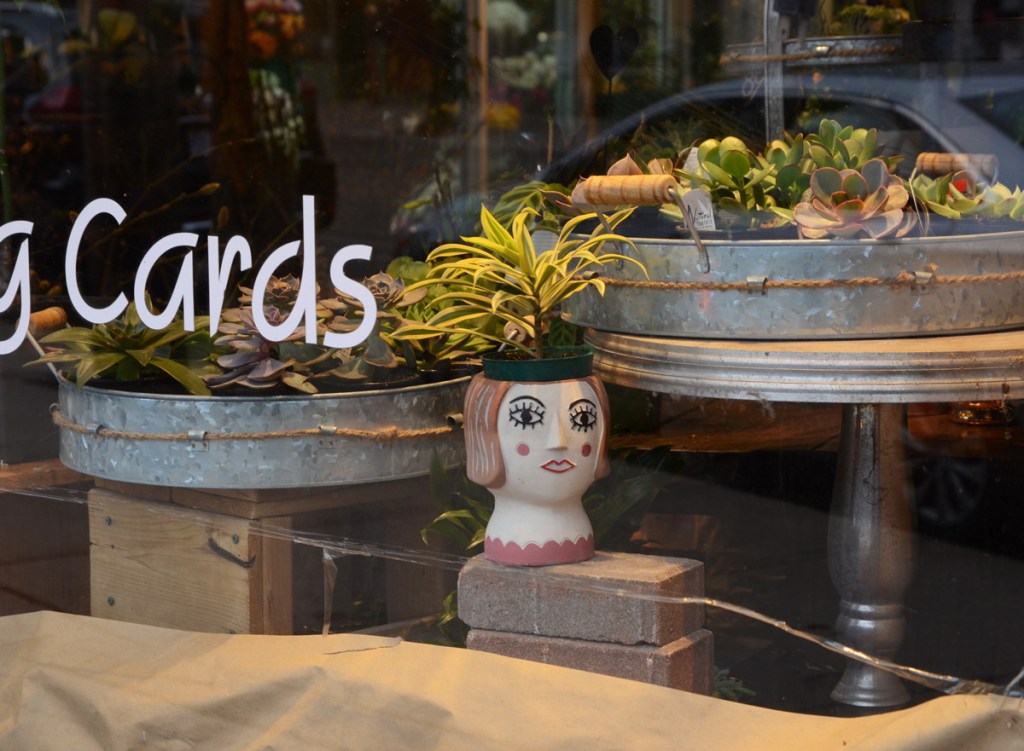in a store window, florist, planter in the shape of a woman's head, also metal round trays of succulents