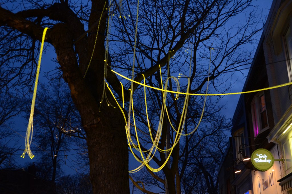 a string of yellow LED lights looped over branches of a large tree beside a row of stores, evening