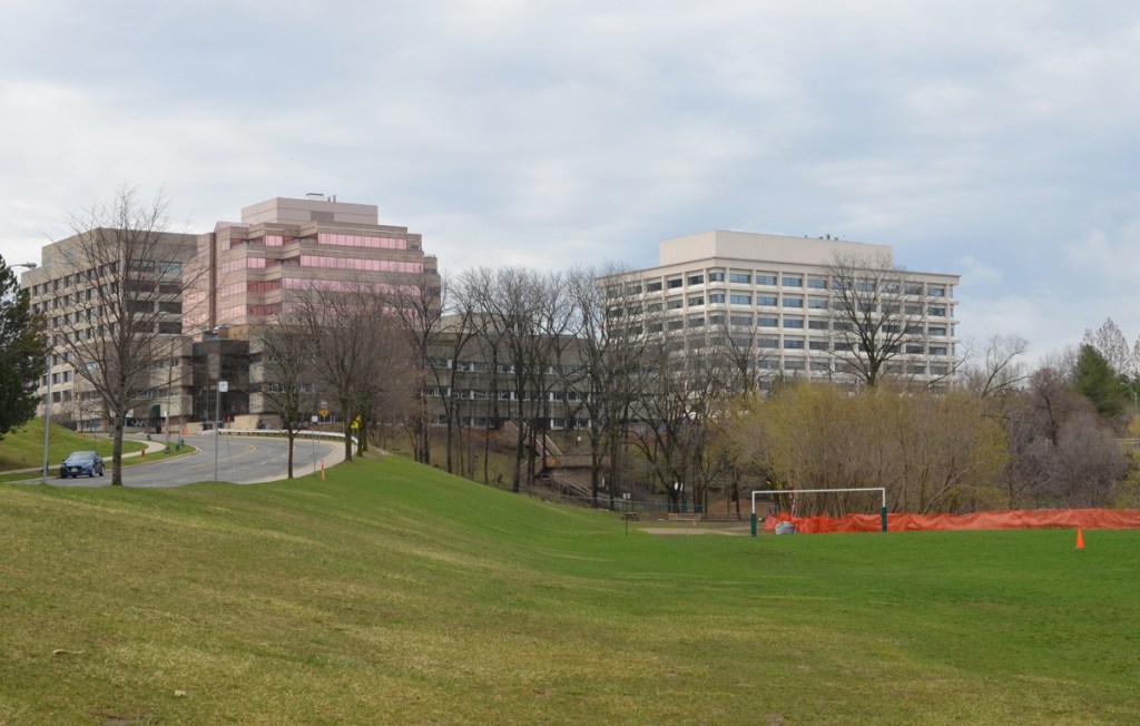 Green space, playing field, beside a road with office buildings on it 
