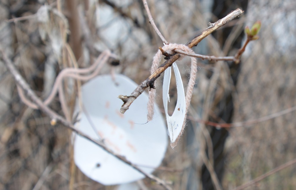 pieces of white paper tied to small branches of a small tree with pink yarn