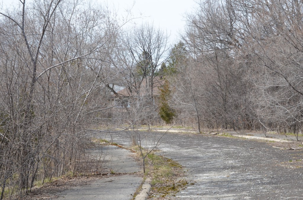 abandoned road starting to be overgrown with cracked asphalt, behind some houses, lots of trees with no leaves (early spring)