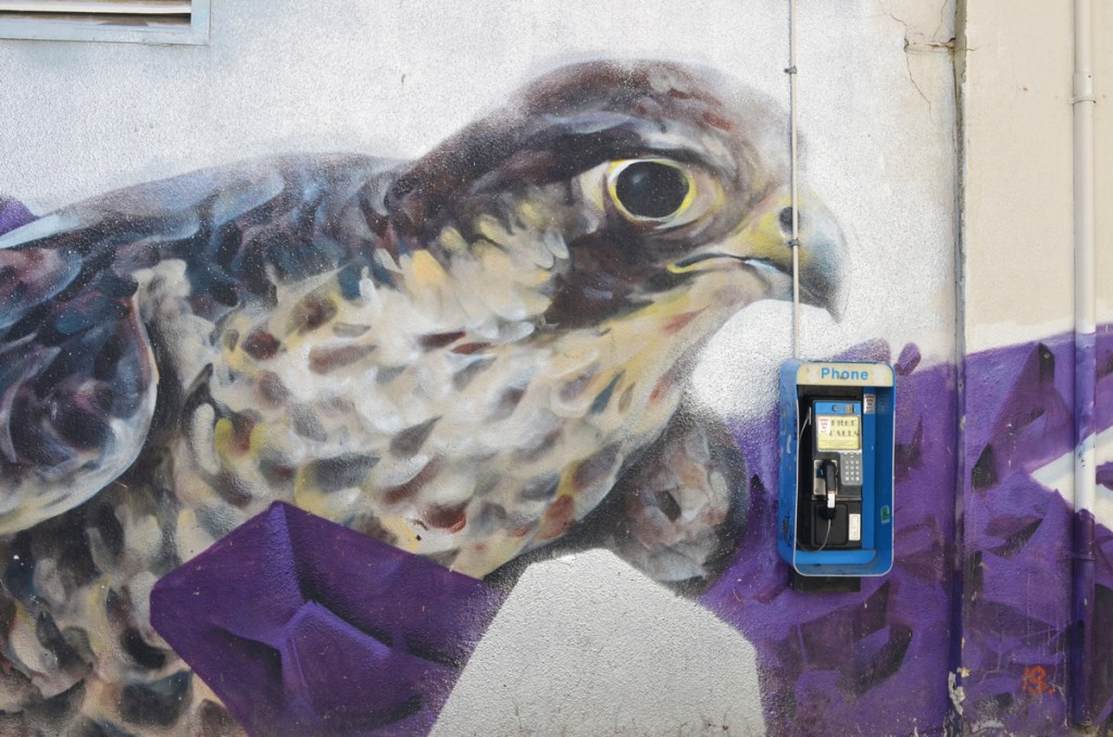 a small bell phone box mounted on a wall on top of a mural of a bird's head and upper body, purple and white background.  Very large bird with grey and yellow curved beak, black eye, spotted neck and chest 