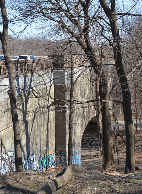 In early spring, no leaves on trees yet, large trees beside the Bloor street East bridge over Rosedale Valley Road 