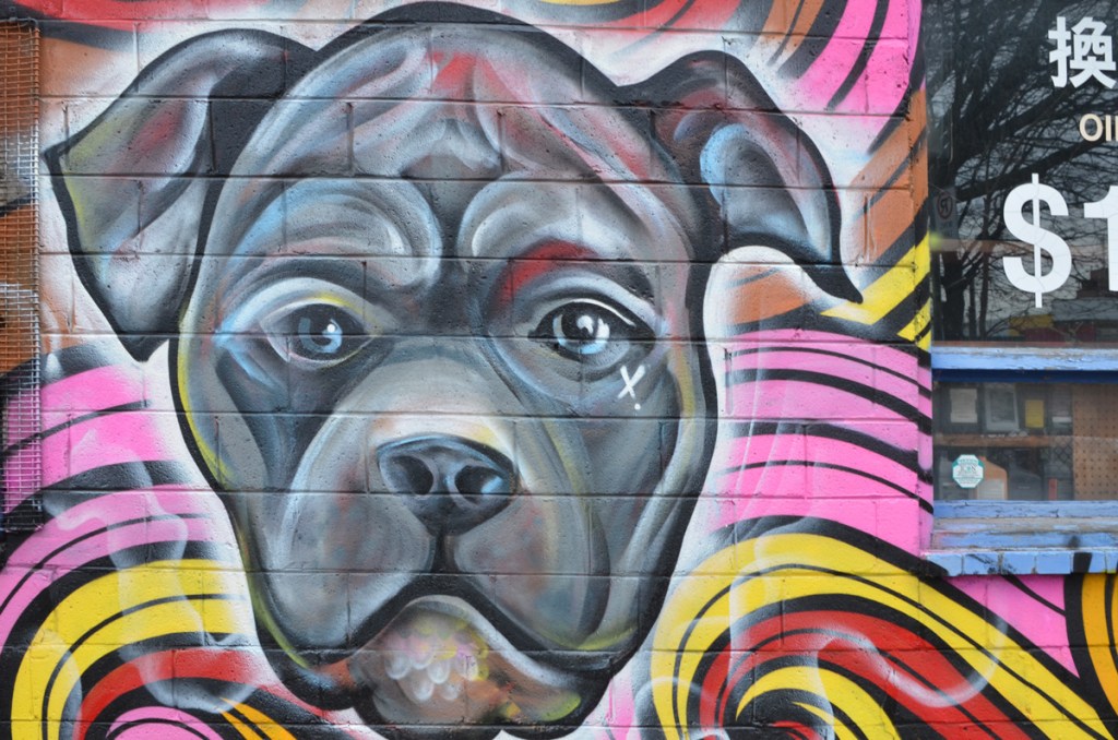 part of a mural, a grey dog's face