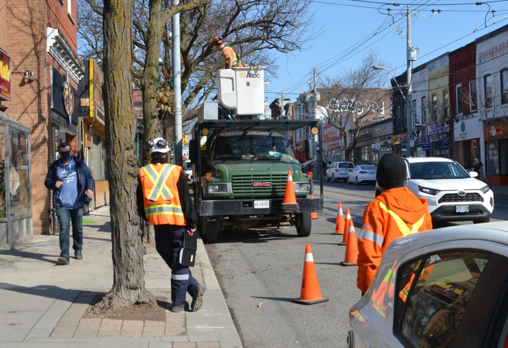 workmen pruning trees on a city street, one man is leaning against a tree, a pedestrian in navy blue jacket and mask is walking past on the sidewalk, stores along Parliament street