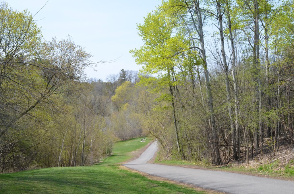 paved path, curves as it goes downhill, bench at the bottom of the hill, grass beside the path, trees on both sides, Windfields Park