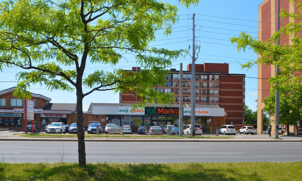 looking across the street, Eglinton Ave., at Yal market, an asian store, small tree on close side of the street, low rise apartment building behind the market