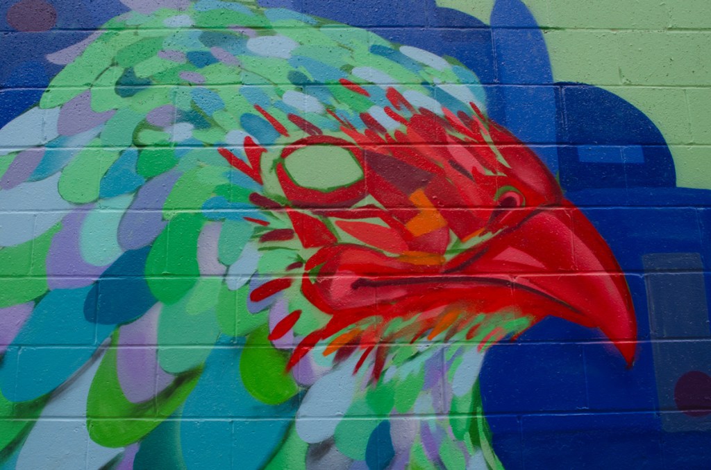 mural of a chicken's head and beak