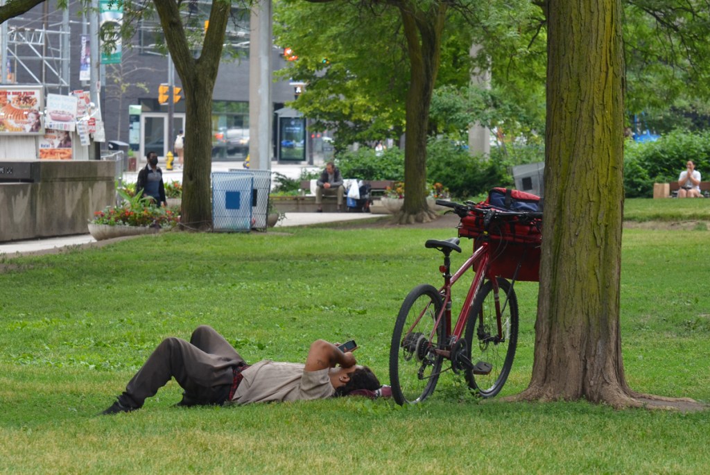man lies on the grass, reading, his red bike leans against a tree beside him, activity on Queen Street in the background