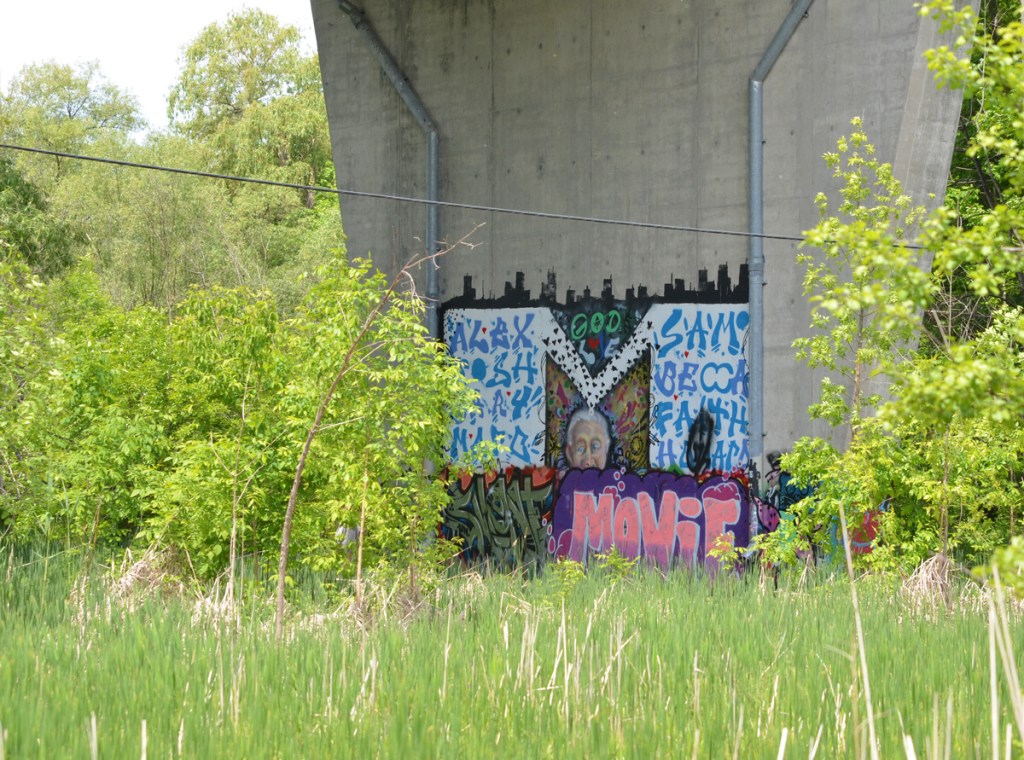street art and graffiti on a concrete support of a bridge, old woman's head and face and lots of names - Alex, Sam, Becca, Faith, tall grass and shrubs growing around it 