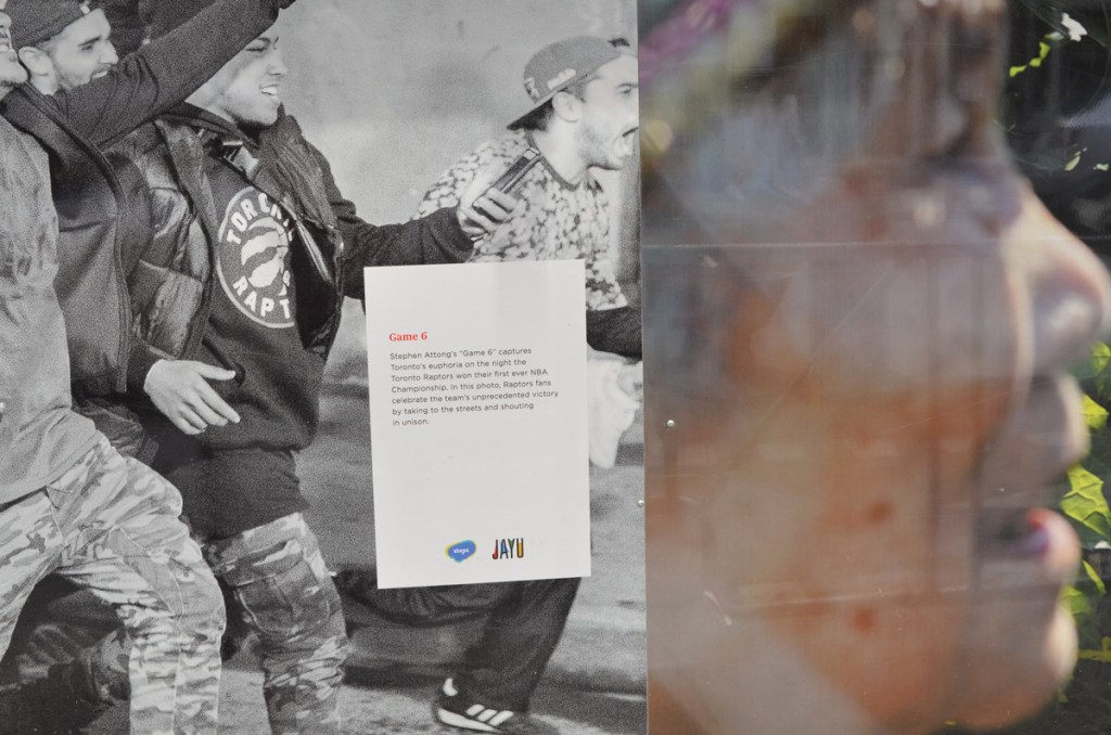 parts of two photos that are exhibited adjacent to each other on construction hoardings. on left is people at street party after Raptors won the NBA series and on the right is a close up of a woman's face in profile 