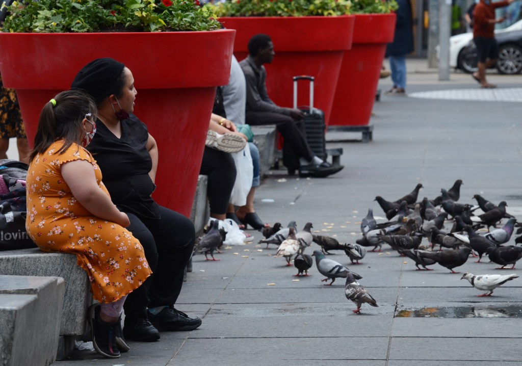a mother in black and a daughter in an orange dress sit by the large red planters in Yonge Dundas square with a lot of pigeons on the ground in front of them